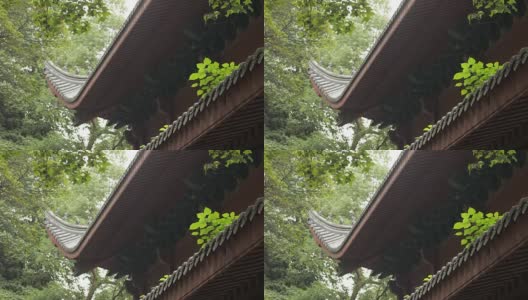 中国杭州的一个寺庙高清在线视频素材下载