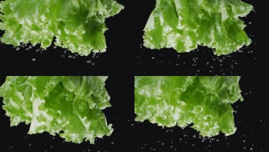 带有水滴的绿色生菜叶子在黑色背景上以慢动作移动。Blackmagic Ursa Pro G2, 300帧每秒。高清在线视频素材下载