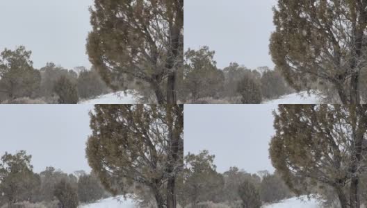 猛烈的暴风雪暴风雪在狂风科罗拉多冬季降雪在山脉沙漠和河流极端天气条件视频系列高清在线视频素材下载