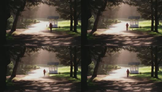 清晨遛狗的Sutro公园高清在线视频素材下载