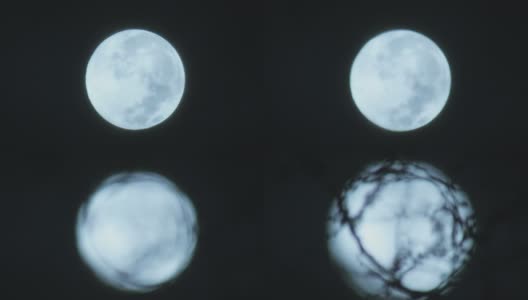 月亮透过树高清在线视频素材下载