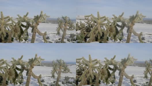沙漠中的雪高清在线视频素材下载