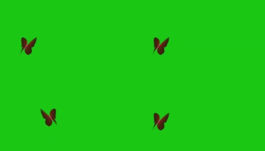 绿屏蝴蝶飞舞高清在线视频素材下载