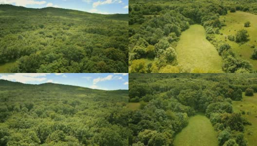 高清:直升机拍摄的绿色景观高清在线视频素材下载