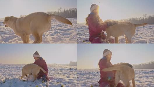 雪中女孩和小狗玩耍高清在线视频素材下载
