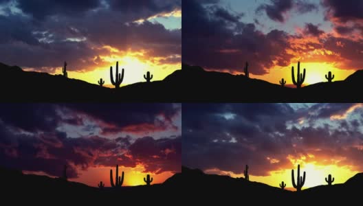 亚利桑那州迷信山的仙人掌剪影上的日落。高清在线视频素材下载