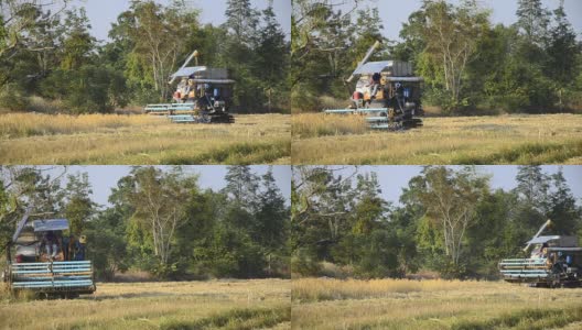 收割车在稻田里工作高清在线视频素材下载