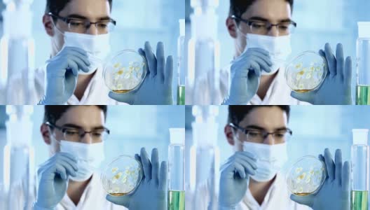 科学家用细菌培养皿检查高清在线视频素材下载