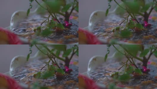 雨点落在花园里的花盆上的慢镜头高清在线视频素材下载