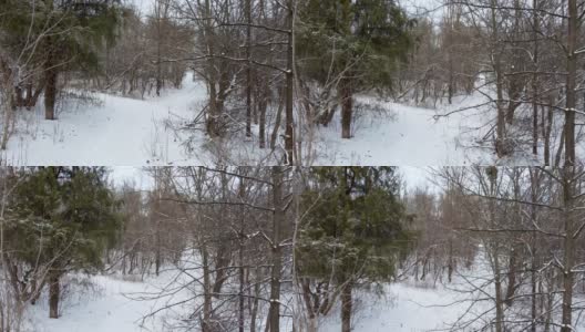 林间小路，鸟瞰白雪高清在线视频素材下载