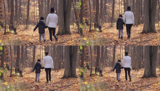 魁北克秋天的森林里母子漫步高清在线视频素材下载