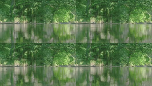 河流在春日绿树林冠下缓缓流淌，角度低高清在线视频素材下载
