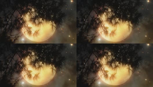 超级月亮和树(可循环)高清在线视频素材下载