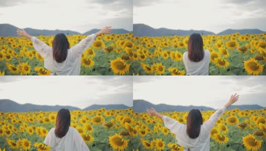 一个了不起的女人在黄色向日葵地里举起双手的背影。每天都是一个快乐的地方。向日葵田里的夕阳。自由的概念。高清在线视频素材下载