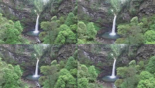 中国桂林龙胜华坪自然保护区的瀑布高清在线视频素材下载