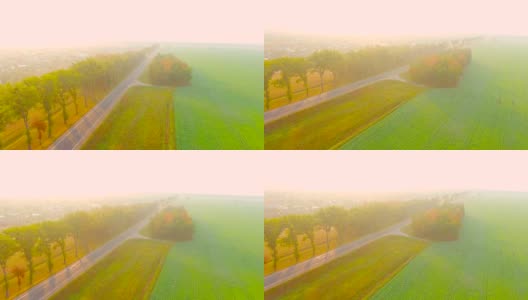 鸟瞰图。在秋天的树林中飞过高速公路高清在线视频素材下载