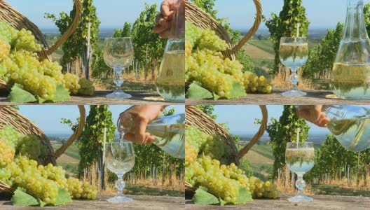 HD DOLLY:在葡萄园里喝白葡萄酒高清在线视频素材下载