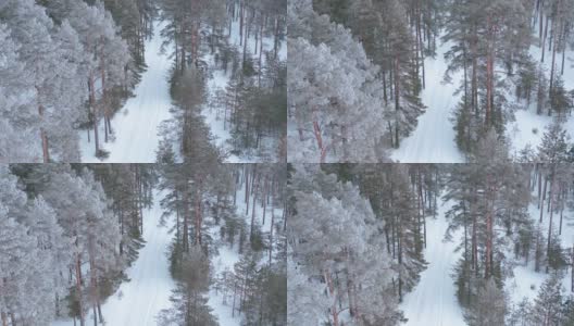 从无人机上的鸟瞰图在下雪的冬季森林乡村。俄罗斯的冬天高清在线视频素材下载