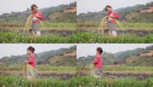 一个中国女孩在收获的时候挥舞着手玩稻子高清在线视频素材下载