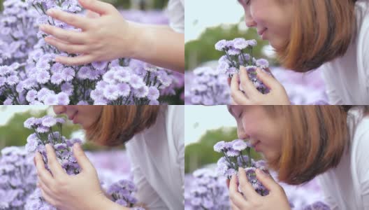 年轻女子幸福地捧着一朵紫色的花，在花园里闻着紫色的花高清在线视频素材下载