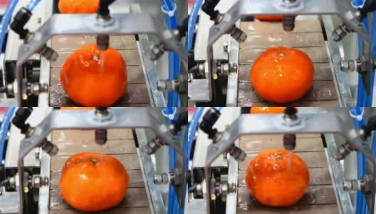关闭生产线上柑橘类水果的清洗过程高清在线视频素材下载
