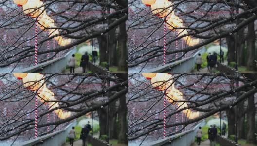 日本东京大横河上樱花节的灯笼。高清在线视频素材下载