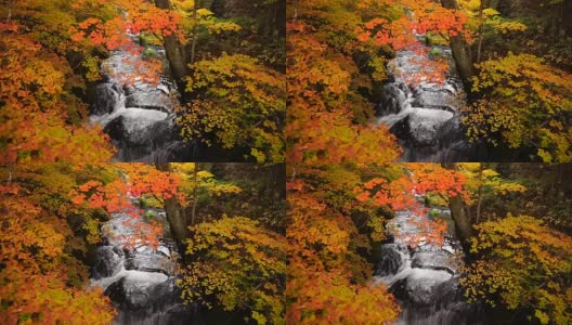 宁静的水流从龙津瀑布在秋天，日光，日本高清在线视频素材下载