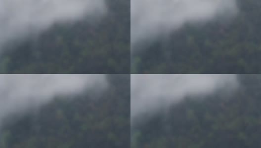 森林里下着大雨，慢镜头高清在线视频素材下载