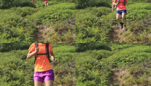 两名女子超级马拉松选手在热带雨林的山坡上跑下坡，慢镜头高清在线视频素材下载
