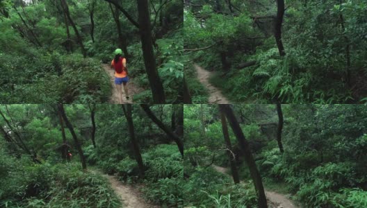 鸟瞰图的女子trail runner跑在热带森林高清在线视频素材下载