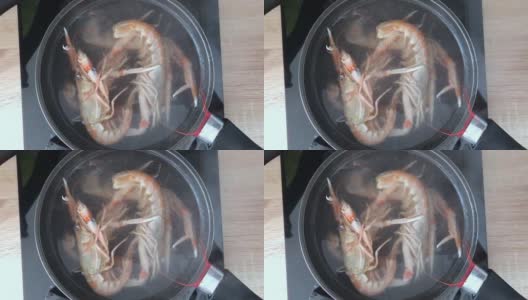 海螯虾在沸水炖锅中烹煮高清在线视频素材下载
