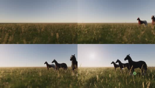 Horses on the Farm Move高清在线视频素材下载