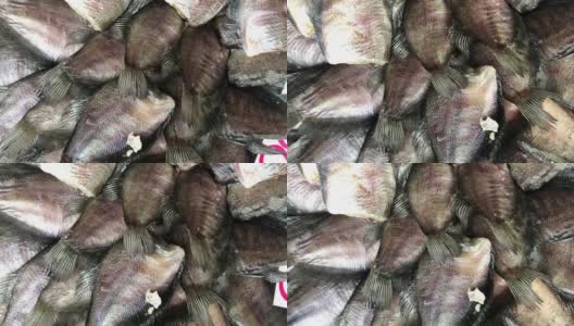 丝足鱼是用阳光晒干鱼的植物。腌渍保存海鲜生鱼片在当地市场的柳条桌上晒干。高清在线视频素材下载