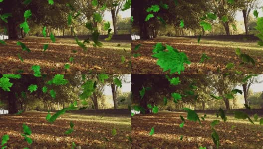 多叶飘落在绿色森林的动画高清在线视频素材下载