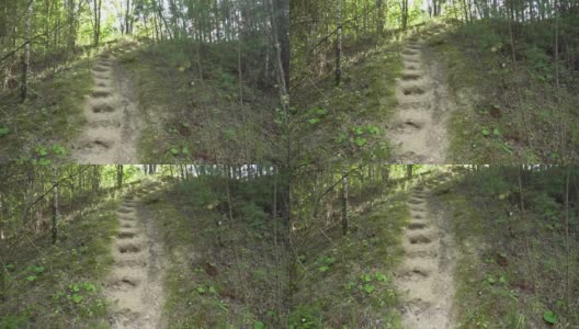 森林小径上坡，台阶在森林中刻入地面，楼梯在森林中POV，梯子在森林中手工制作高清在线视频素材下载