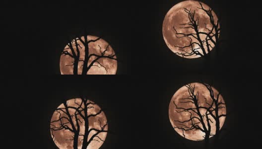 月亮间隔拍摄高清在线视频素材下载