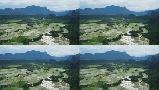 在老挝万荣稻田用手推车拍摄4k延时。高清在线视频素材下载