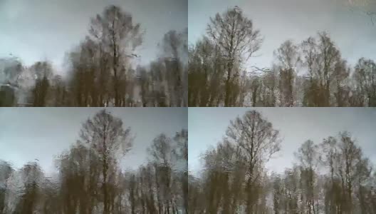 树木在流水中的倒影高清在线视频素材下载