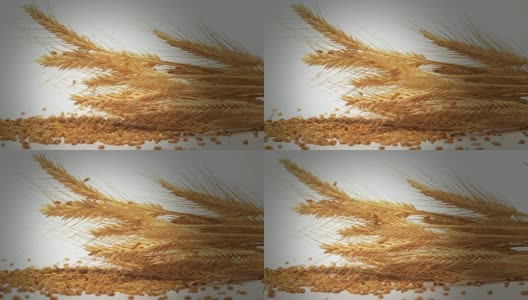 高清慢镜头:麦穗和种子高清在线视频素材下载
