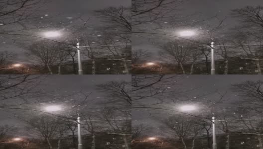 大雪花在路灯的灯光下慢慢地飞了起来。高清在线视频素材下载