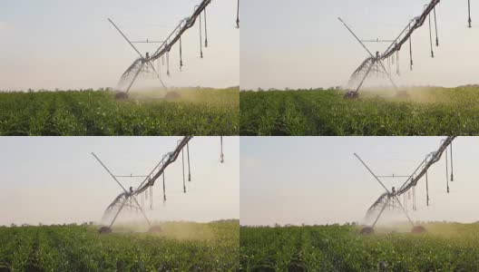 玉米田自动田间灌溉高清在线视频素材下载