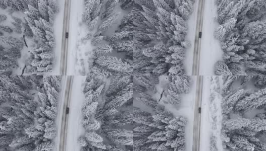 冬季空中旅行在积雪覆盖的松树林地。在山上滑雪度假。高清在线视频素材下载