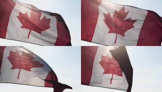加拿大国旗迎风迎太阳的自然背景与软焦点，慢动作。加拿大日的概念，国旗，北美，枫叶旗。高清在线视频素材下载