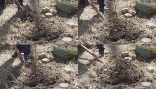 有人用铲子挖了个洞用来植树高清在线视频素材下载