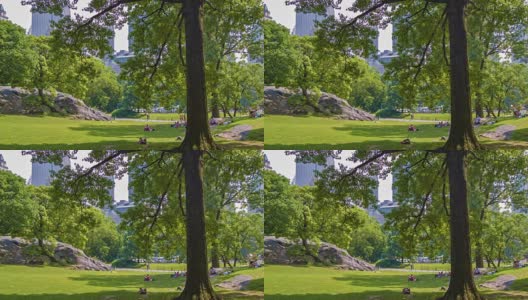 纽约的中央公园高清在线视频素材下载