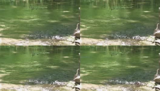 近距离拍摄，稳定的镜头，水从泉水流向河流高清在线视频素材下载
