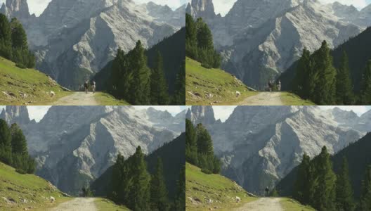 两个山地自行车手在高山前面高清在线视频素材下载