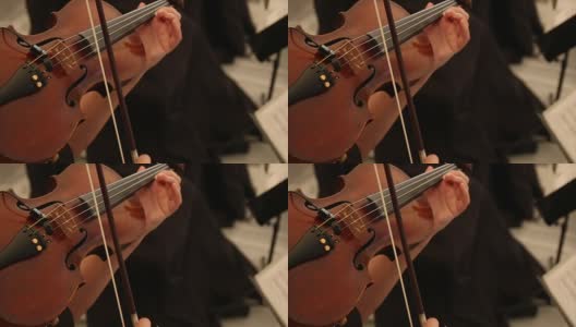 小提琴家高清在线视频素材下载