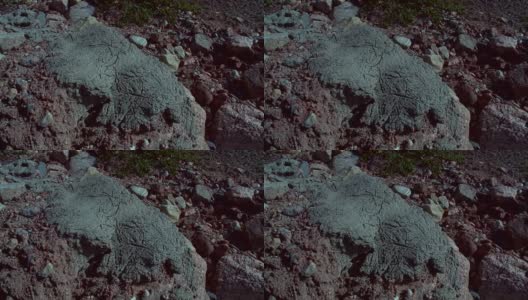 格陵兰岛夏天的大石头高清在线视频素材下载