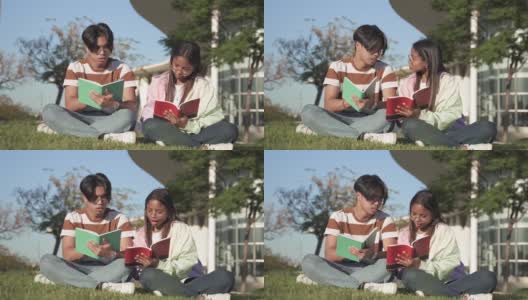 两个大学生坐在大学校园的草地上，一起读书学习高清在线视频素材下载